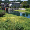 100-2.jpg