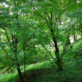 80-2.jpg