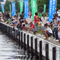 86-2.jpg