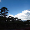 92-2.jpg