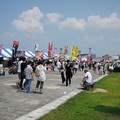 137-1.jpg
