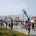 137-2.jpg