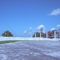 141-1.jpg