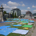 143-1.jpg