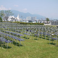 145-1.jpg