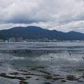 151-2.jpg