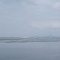 158-1.jpg