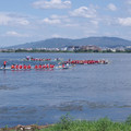 160-1.jpg
