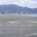 160-3.jpg
