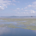 161-3.jpg