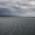 162-2.jpg