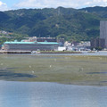 163-2.jpg