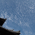 165-1.jpg