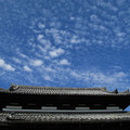 165-2.jpg