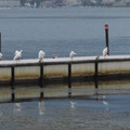 167-2.jpg