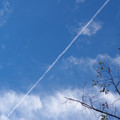 204-1.jpg