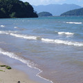 205-1.jpg