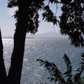 205-2.jpg
