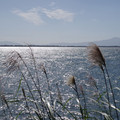 205-3.jpg
