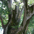 207-2.jpg