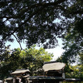 207-3.jpg