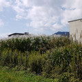 210-1.jpg