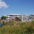 210-2.jpg