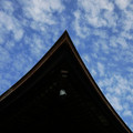 224-3.jpg