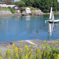 229-3.jpg