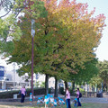 235-1.jpg