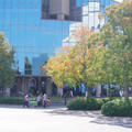 235-2.jpg