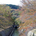 235-3.jpg