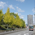 238-1.jpg