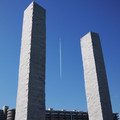 239-1.jpg