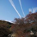 239-3.jpg