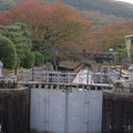 240-1.jpg