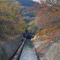 240-2.jpg