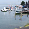 241-3.jpg
