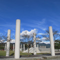 246-1.jpg