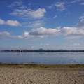 281-3.jpg