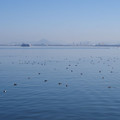 282-1.jpg