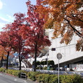 285-2.jpg