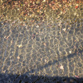 285-3.jpg