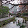 286-1.jpg