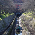 287-1.jpg
