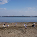 292-2.jpg