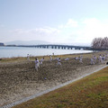 292-3.jpg