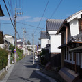 295-1.jpg