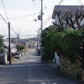 295-2.jpg