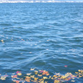 297-1.jpg